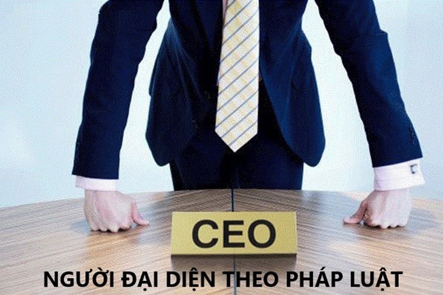 Công ty TNHH một thành viên có mấy người đại diện theo pháp luật?